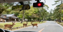 行車記錄儀日本TELEC認證：不辦它，難在日本市場立足！