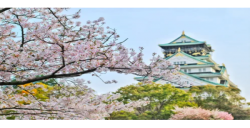 亞馬遜日本站|所需認(rèn)證指南